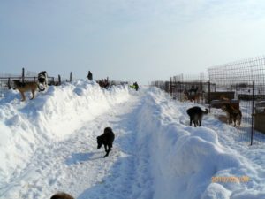 Der Weg ist frei!