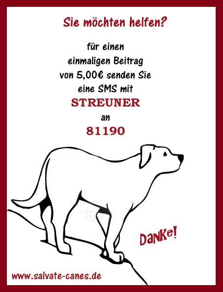 SMS-Spenden